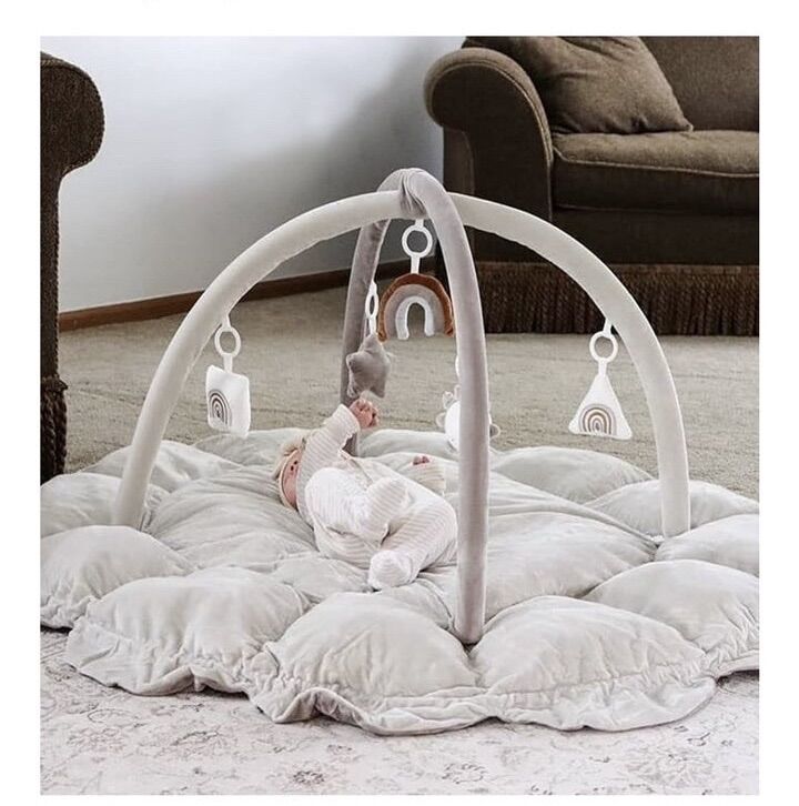 Baby Play Gym