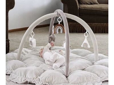 Baby Play Gym