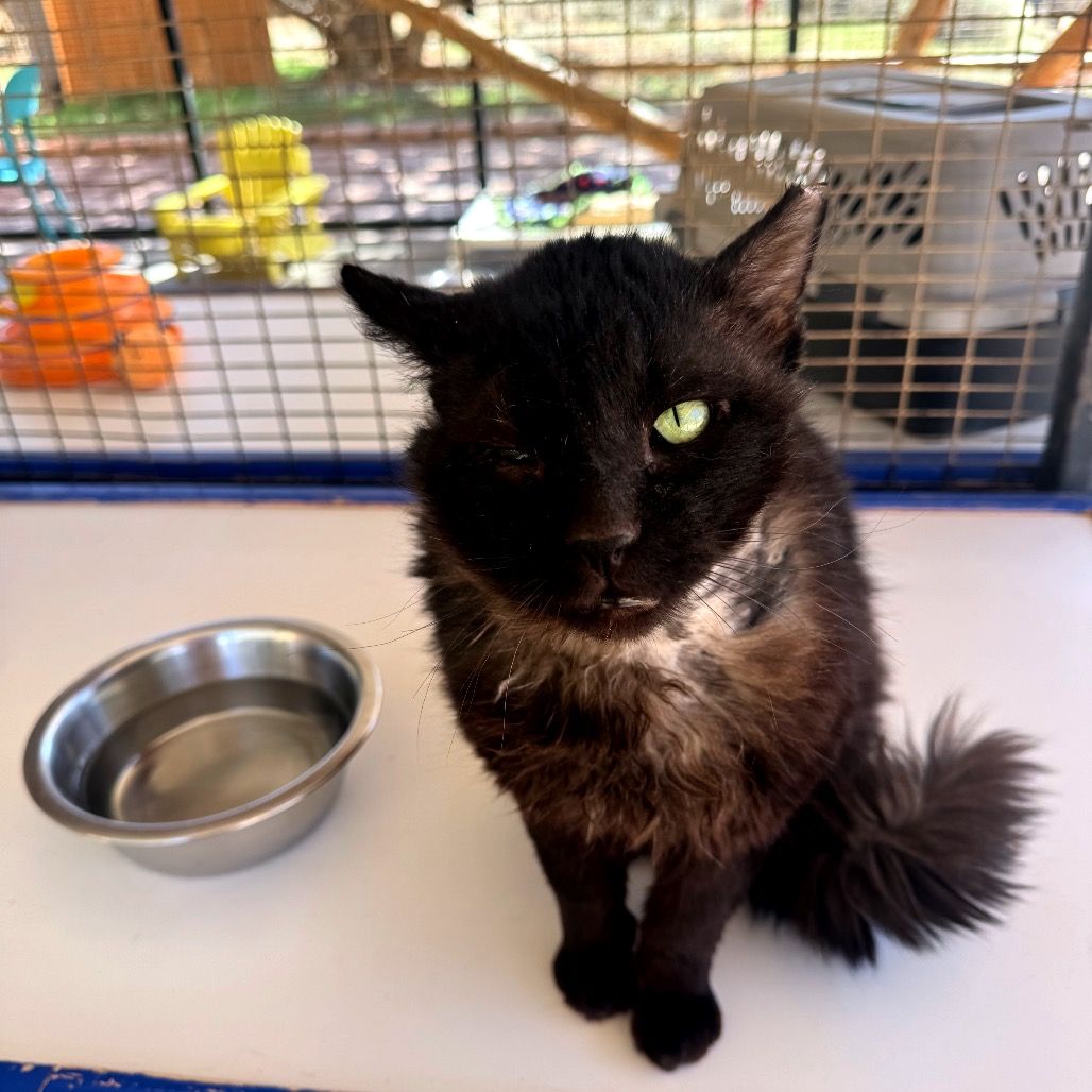 Hello my name is Prince Eric