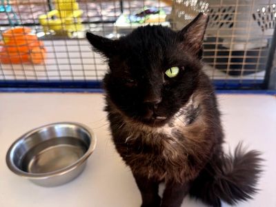 Hello my name is Prince Eric