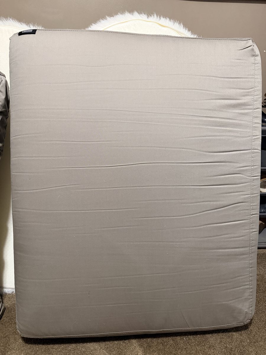 Lovesac Sactional Cushions