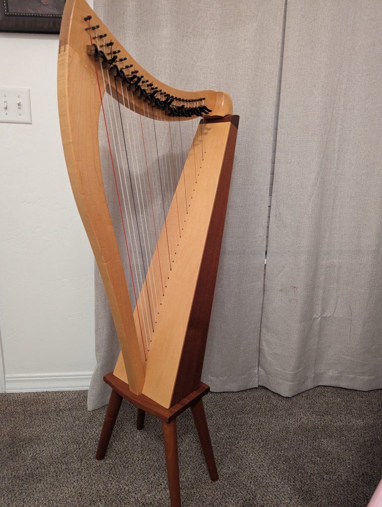 Dusty Strings FH26 for RENT