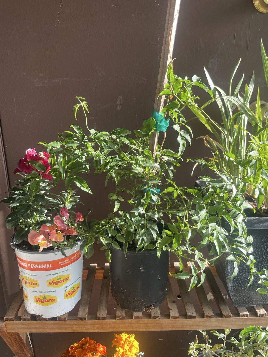 Main image 2