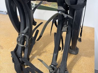 Saris Bones 2-Bike Trunk Rack (SKU 805BL) - Universal Fit, Good Condition