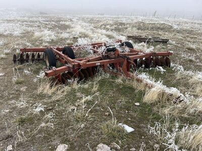 Massey Ferguson Disc