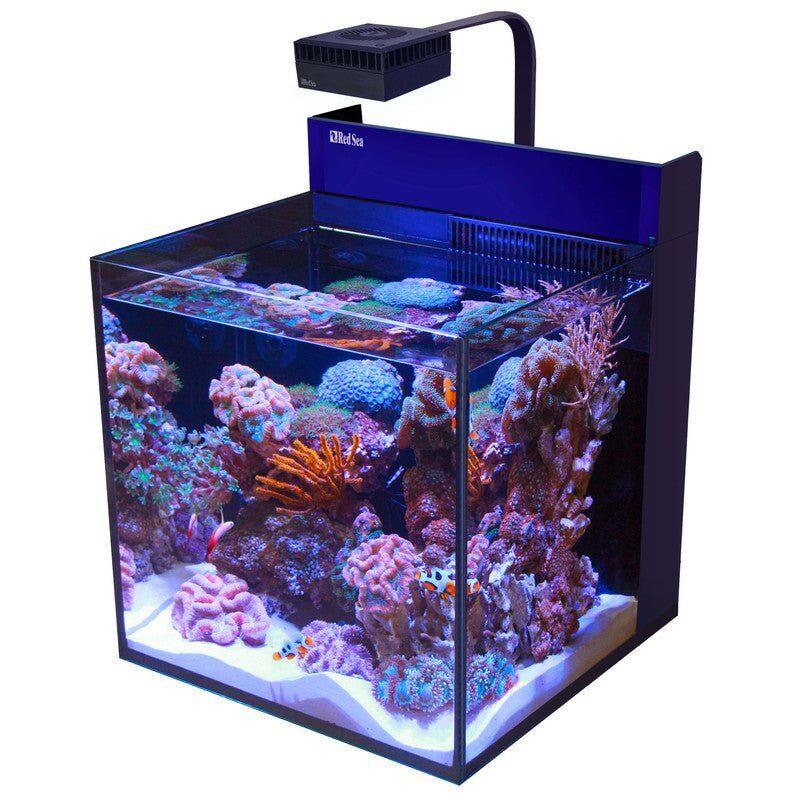 looking for a nano reef tank. saltwater tank.
