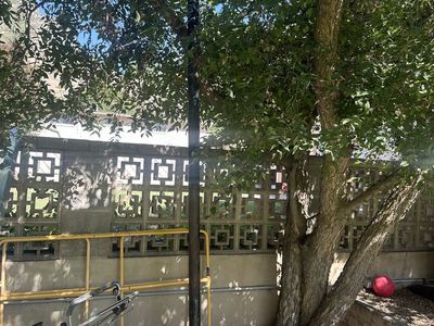 Tetherball pole *FREE*