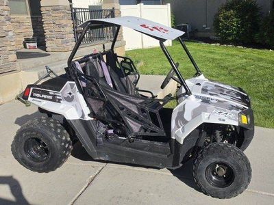 2016 RZR 170