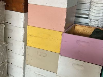 Used tent frame deep and medium Beehive boxes $10 each