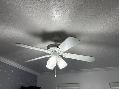 Fan / light combo
