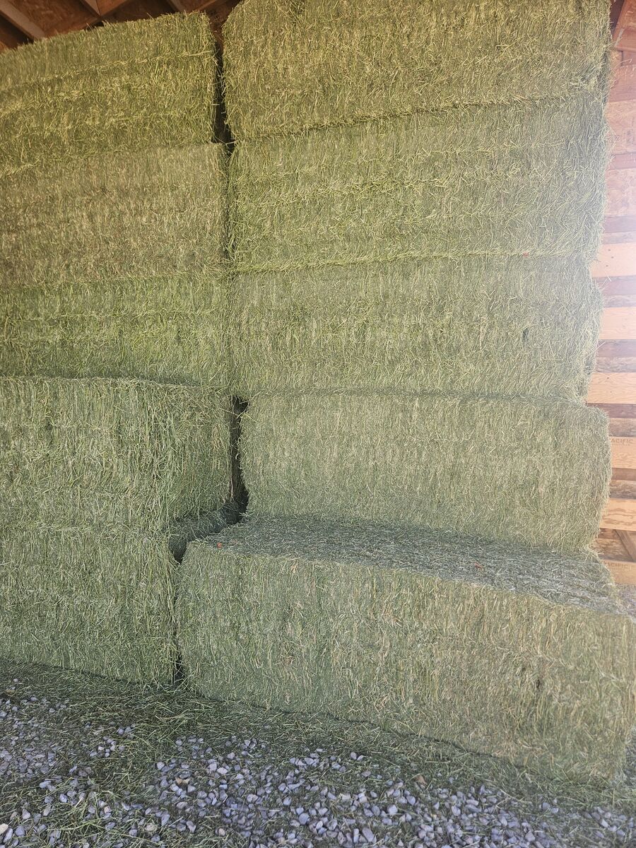 Alfalfa Hay 3x3x8