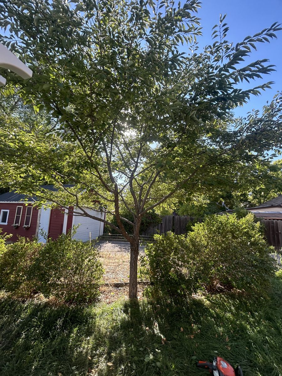 Main image 14