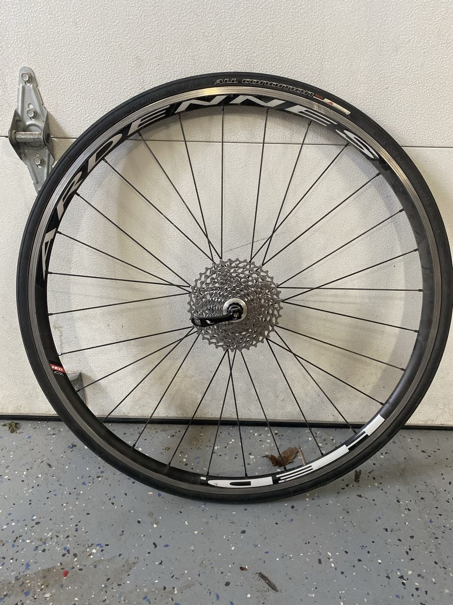 HED Ardennes rear wheel with armadillo tire and cassette