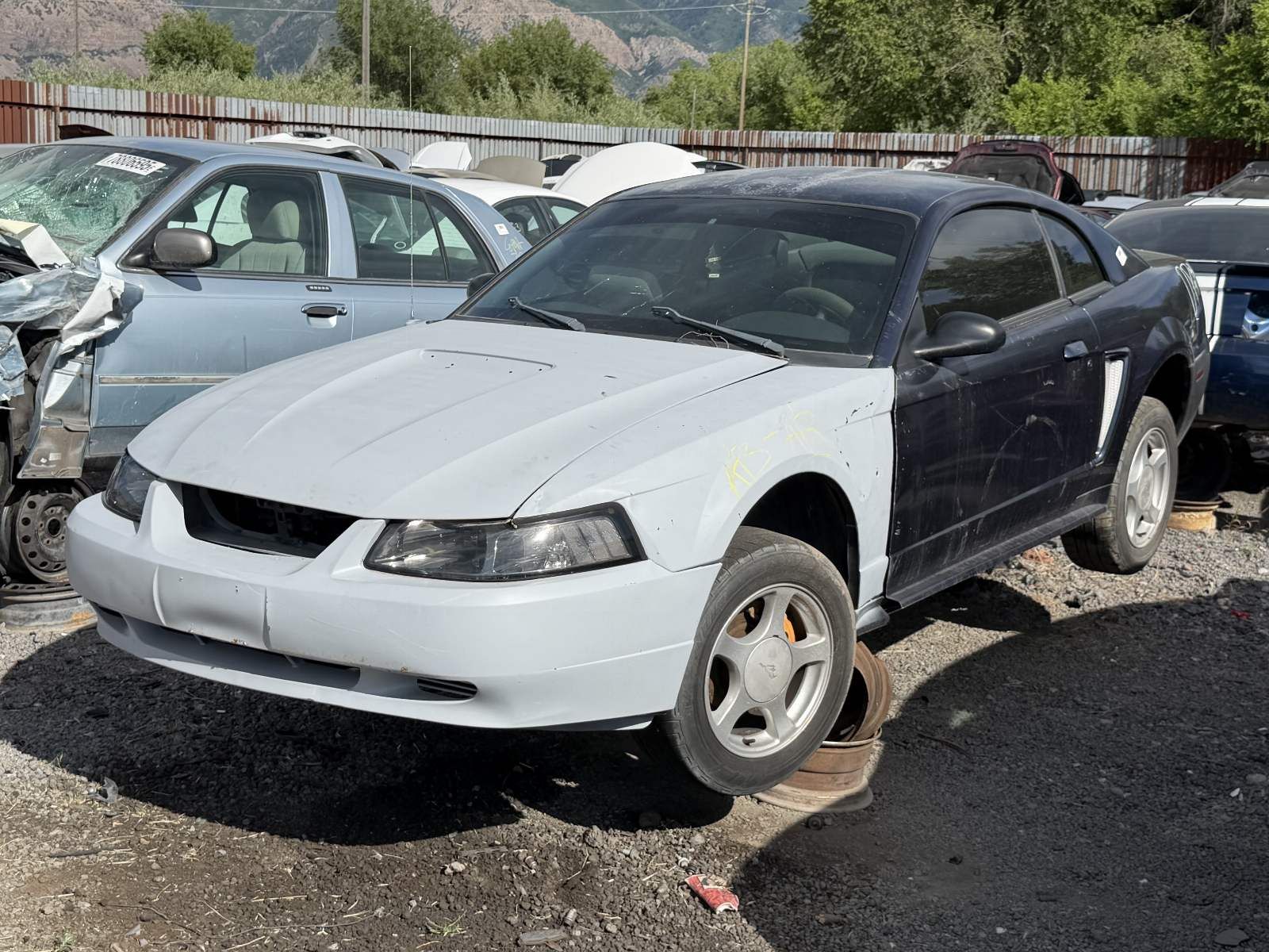 Just In! 2002 Ford Mustang SN95 Parts - UTPAP Ogden