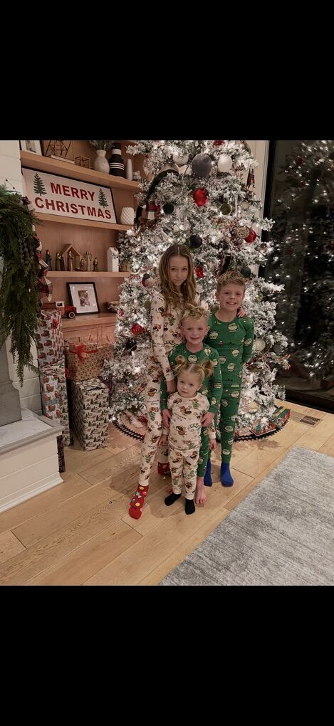 Beautiful Flocked Christmas Tree – Like New!