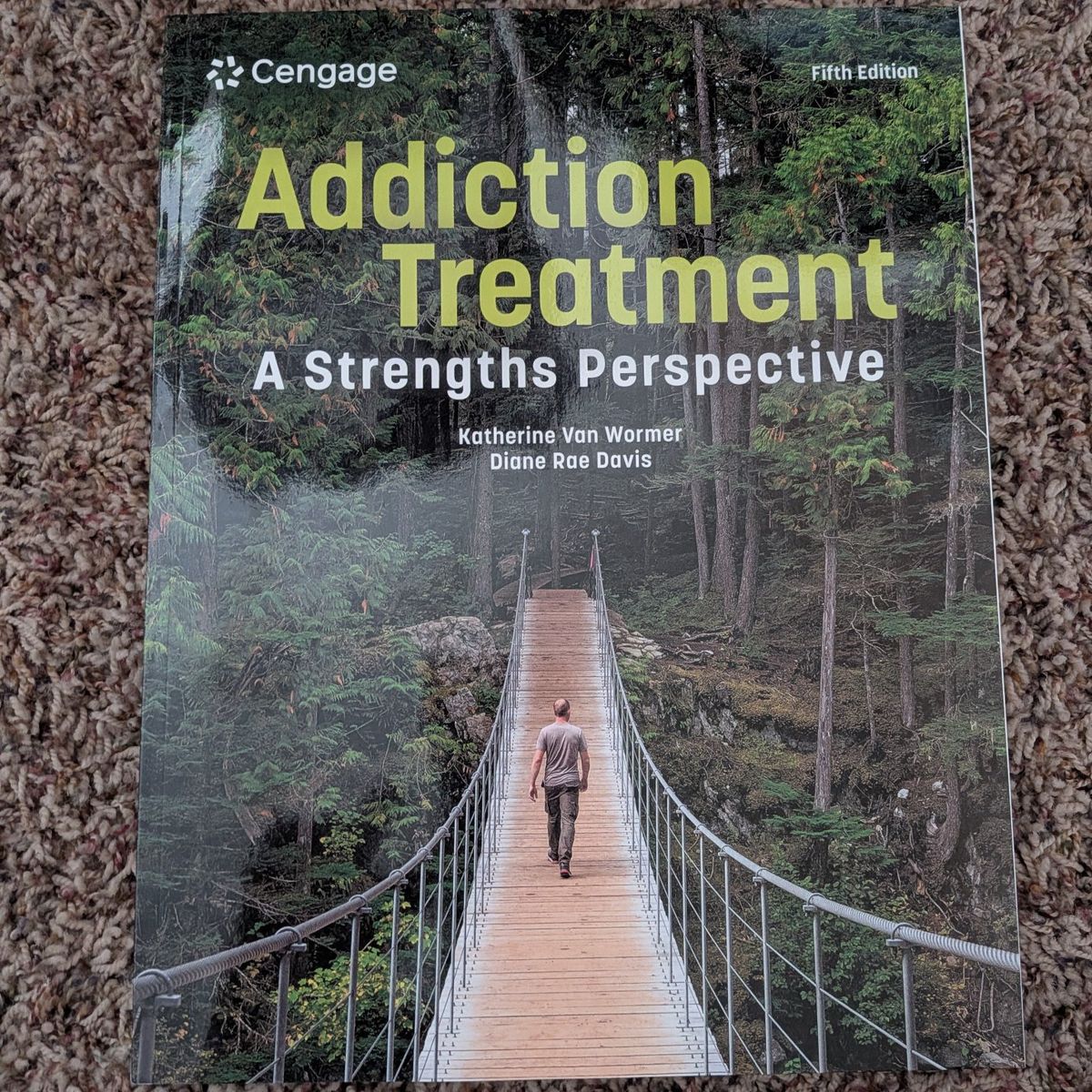 Addiction Treatment A Strengths Perspective