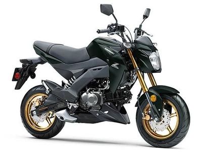 2025 Kawasaki Z125 PRO