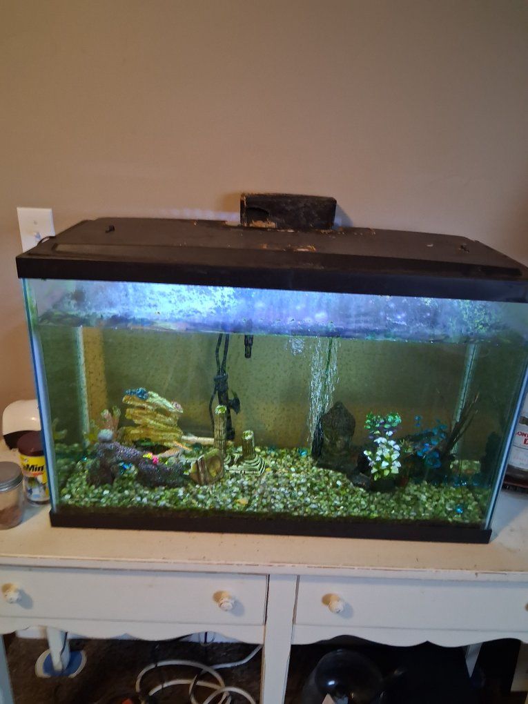 Glass Fish Aquarium Setup with Lid, Light, Filter, Gravel, and Decor