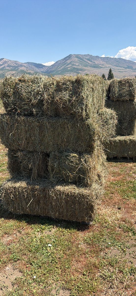 Alfalfa/Grass Mixed Bales