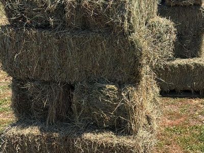 Alfalfa/Grass Mixed Bales