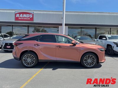 2023 Lexus RX Luxury