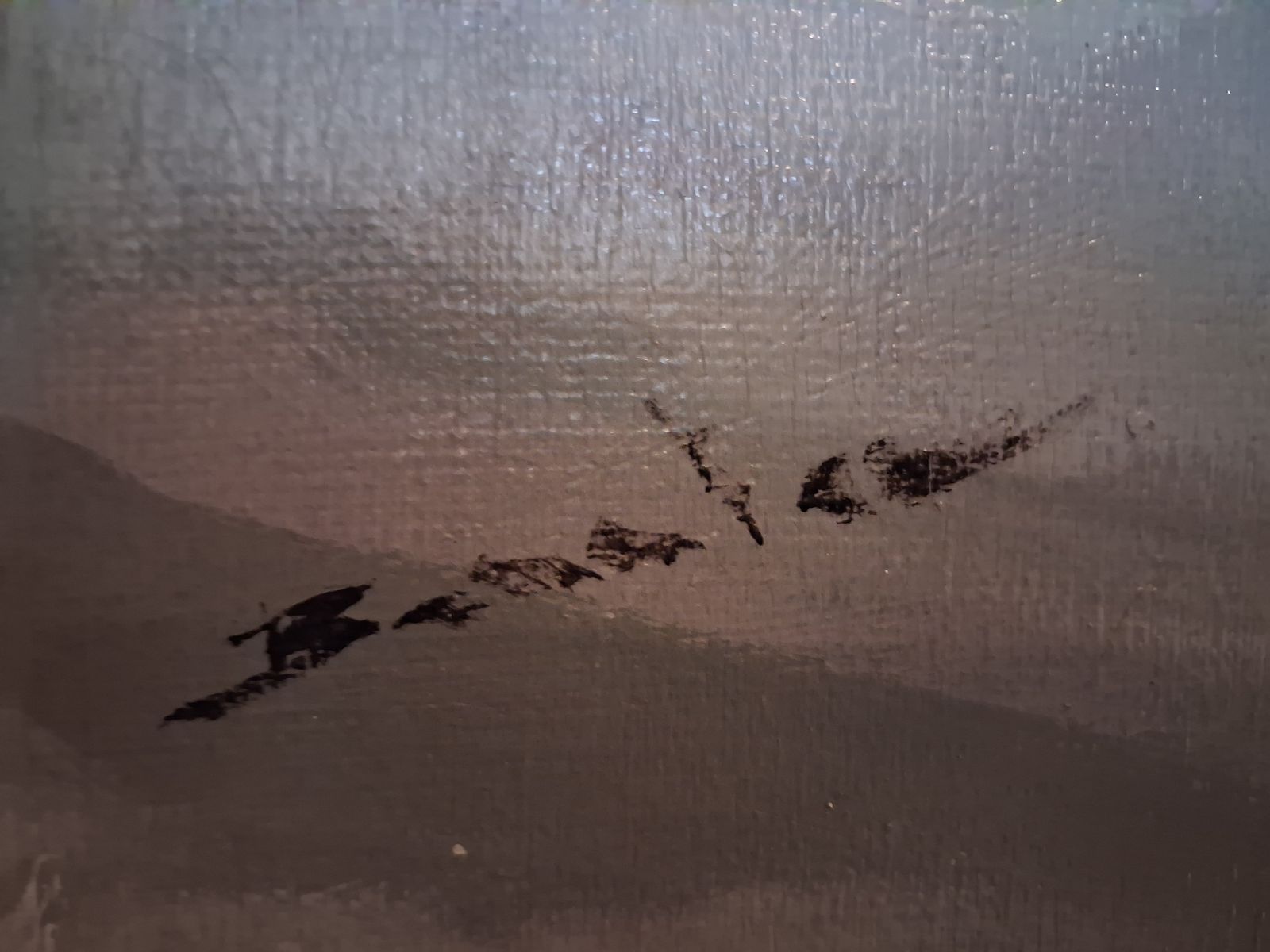Main image 6
