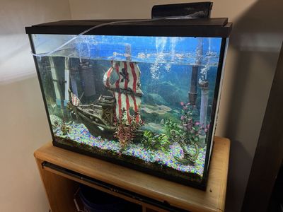 Fish Tank 37 gallon