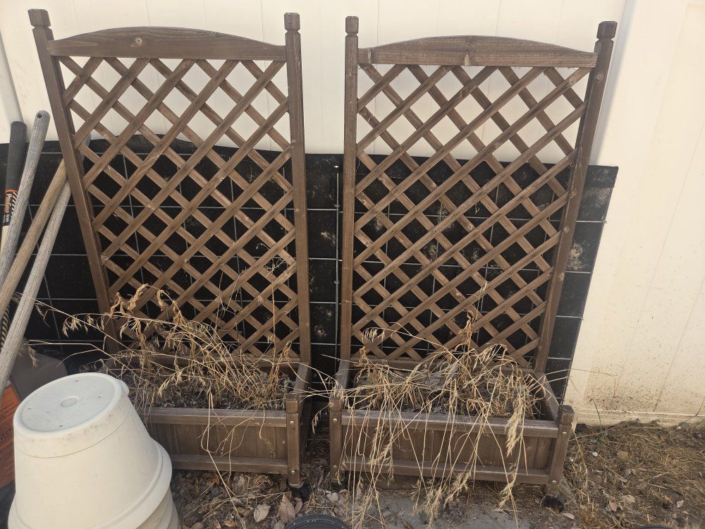 Pair of Wooden Planter Boxes with Lattice Trellis Backing