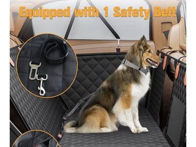 Dog Back Seat Cover - Extended Space