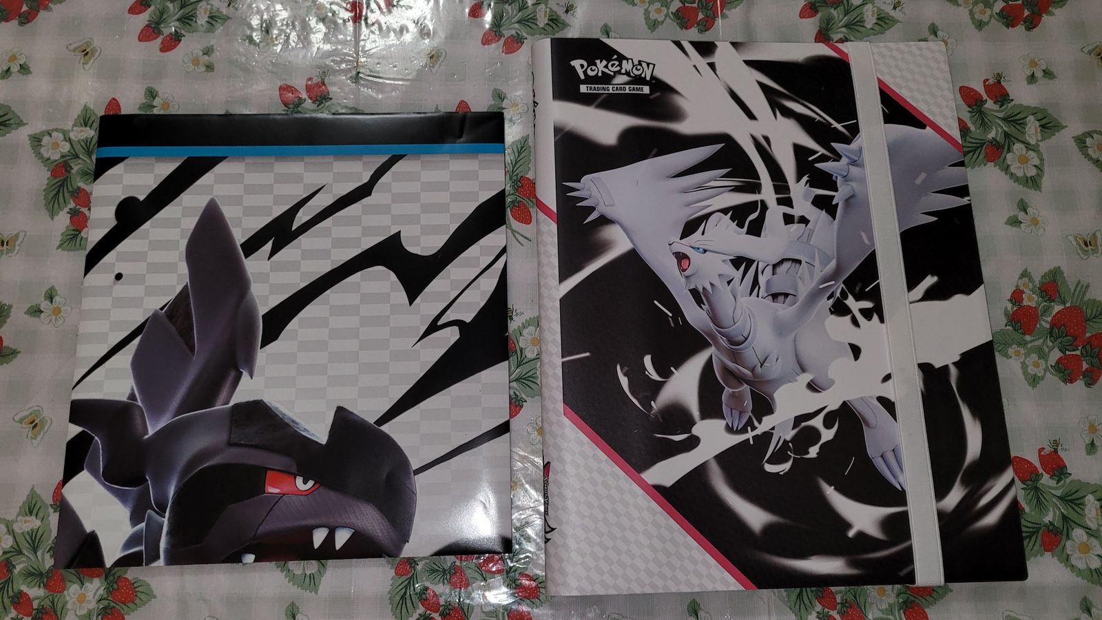 Pokemon binder collectible