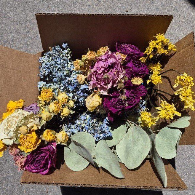 Dried Flowers & Eucalyptus Greenery - Crafting & Decor Supply