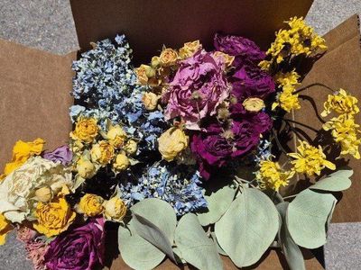 Dried Flowers & Eucalyptus Greenery - Crafting & Decor Supply