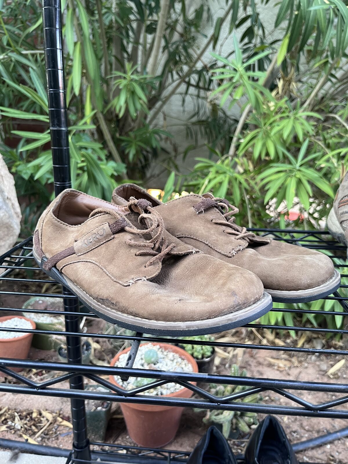 Xero Barefoot Shoes - Alston Leather Suede Oxford Men’s Size 9.5