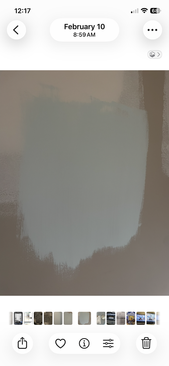 Tiffany Blue wall paint 5 gallons