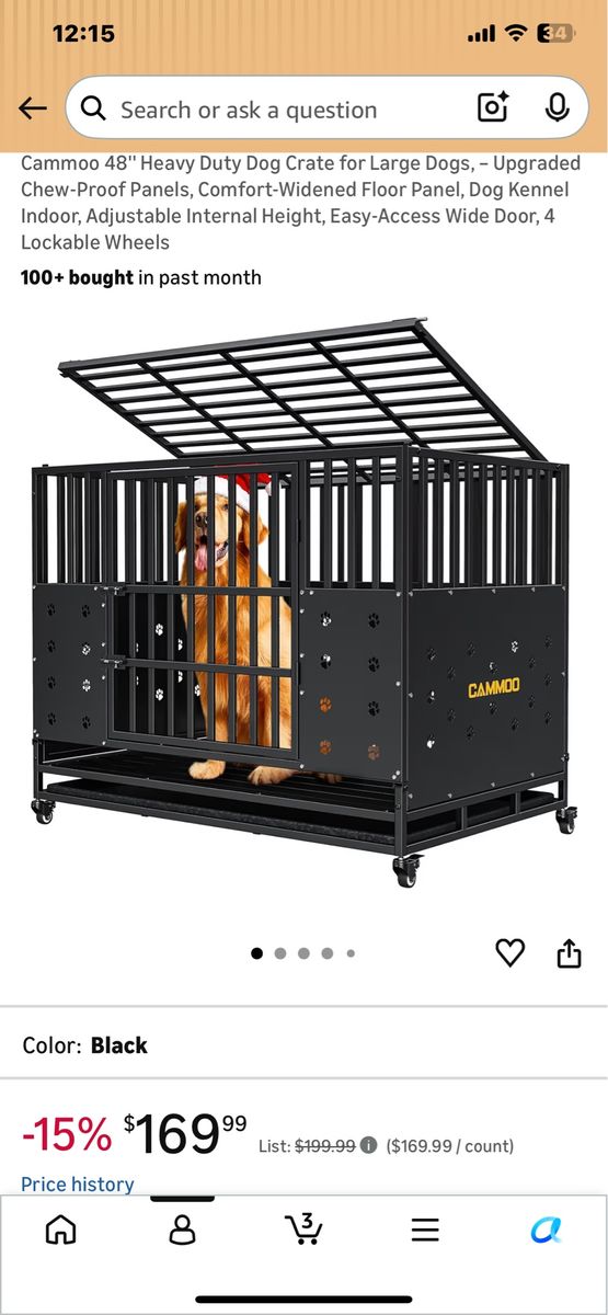 New puppy set up