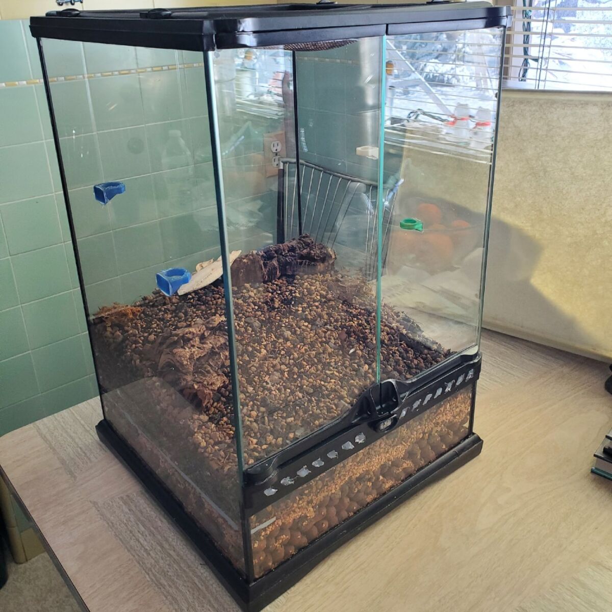 Exo Terra glass Terrarium