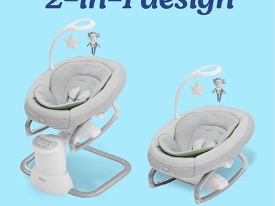 Graco 2-in-1 Baby Swing and Removable Rocker