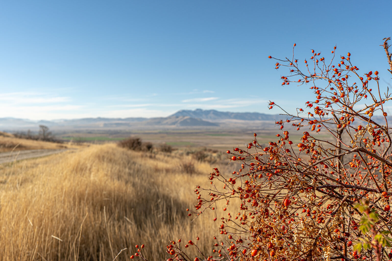 45.68 Acres, A10 Land for Sale in Richmond