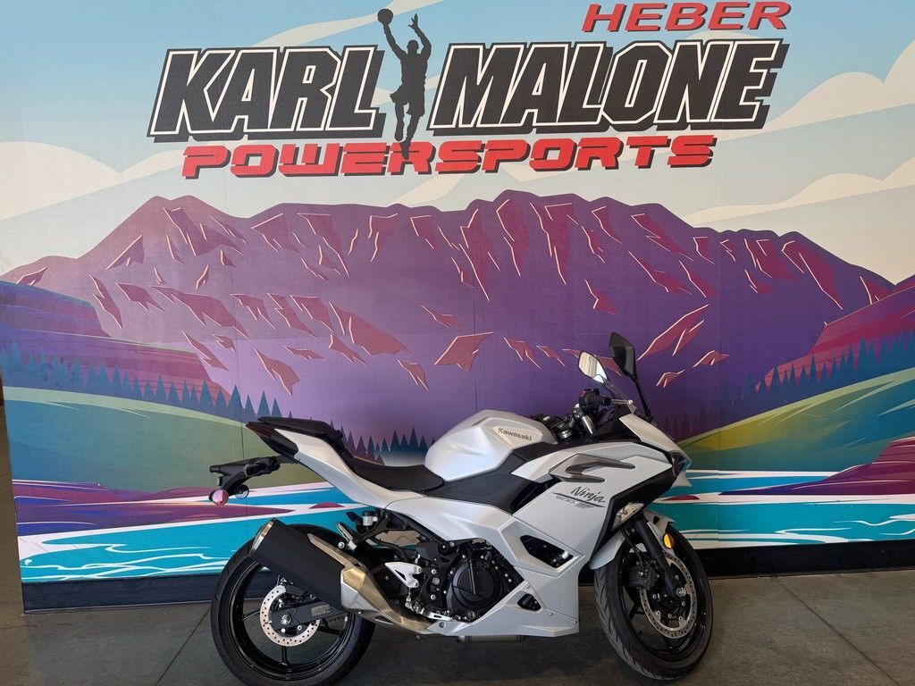 2025 Kawasaki Ninja® 500 ABS Passion Red/Metallic