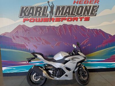 2025 Kawasaki Ninja® 500 ABS Passion Red/Metallic