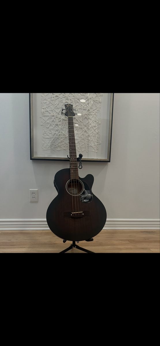 BRAND NEW Mitchell Acoustic-Electric Bass Guitar - Mahogany