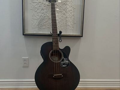 BRAND NEW Mitchell Acoustic-Electric Bass Guitar - Mahogany