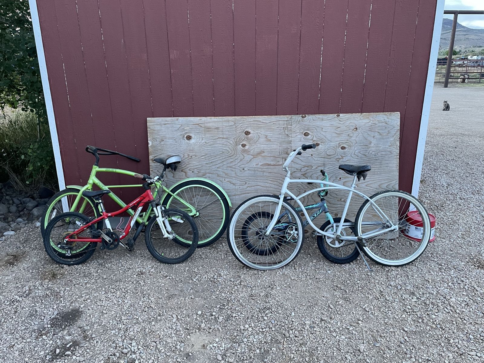 4 Bikes (Specialized)