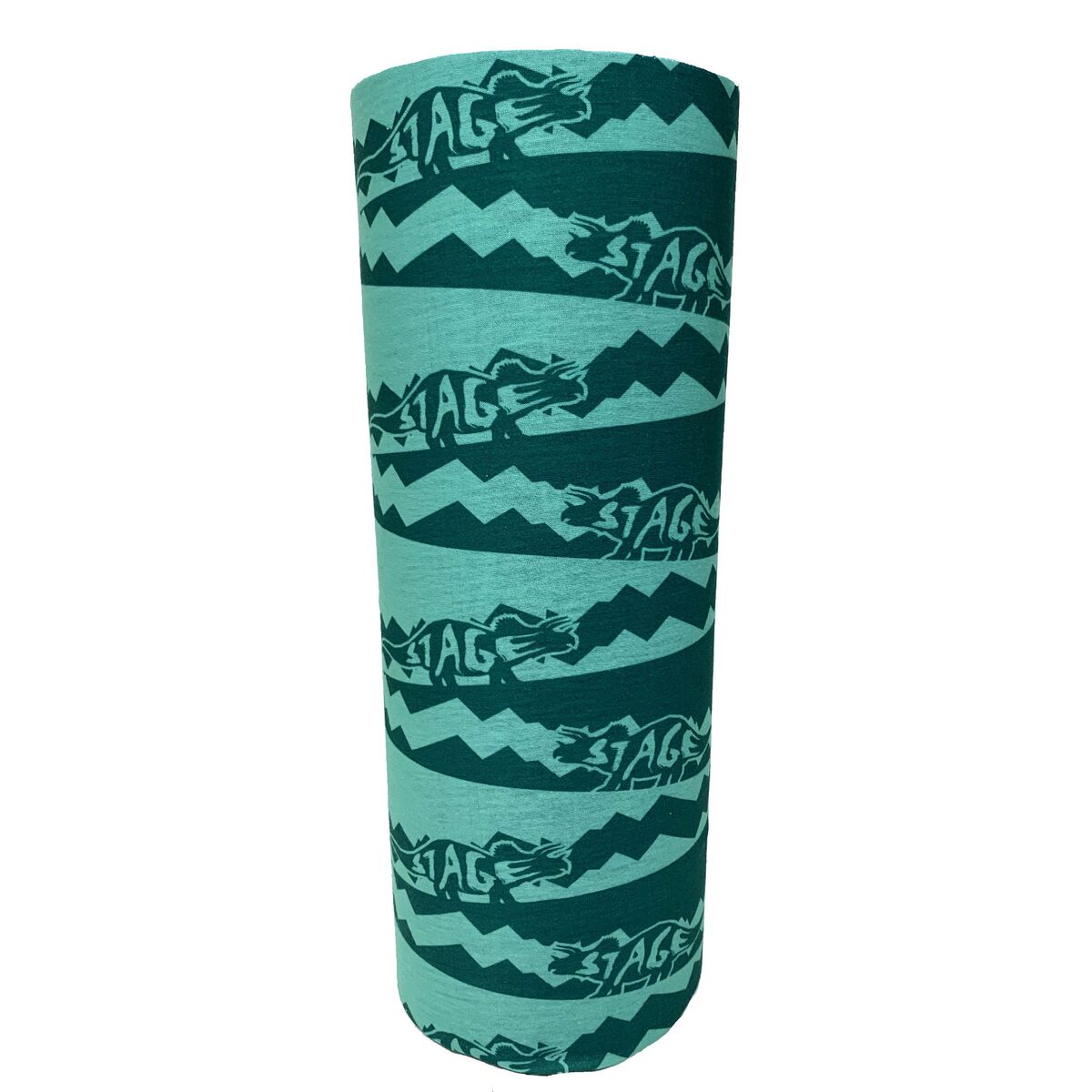 STAGE Jr. Face Tube - Dino Teal