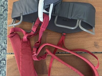 Black Diamond Momentum Harness W's XL