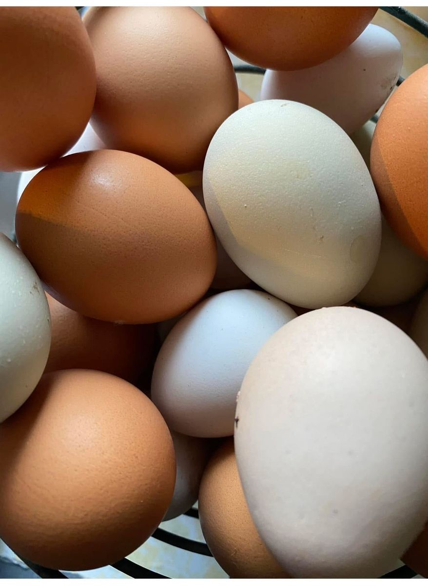 Farm fresh eggs