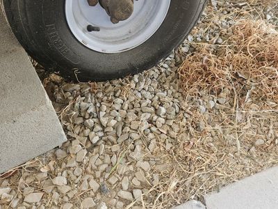Utility Trailer with Ramp Gate - Haul Gear, Equipment, or Supplies Easily