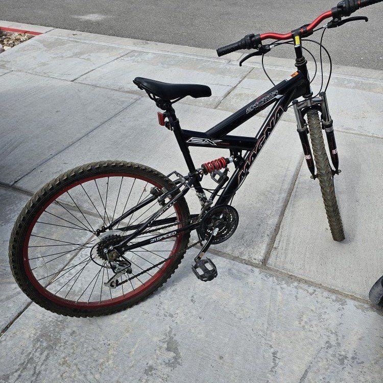 Adult Bike