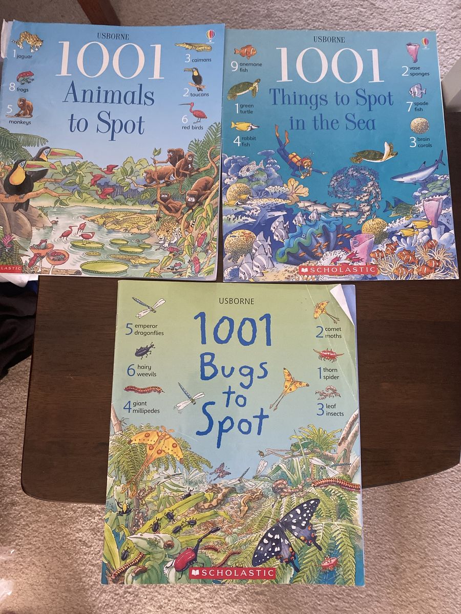1001 Things to Spot books