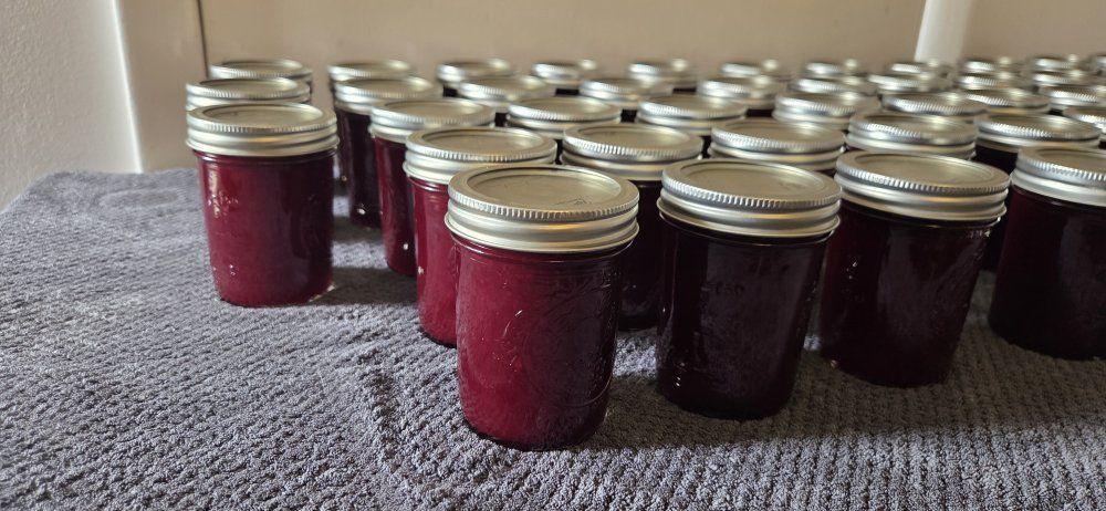 Chokecherry Jelly 8oz $5ea. 